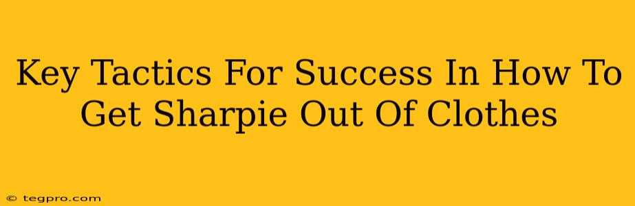 Key Tactics For Success In How To Get Sharpie Out Of Clothes