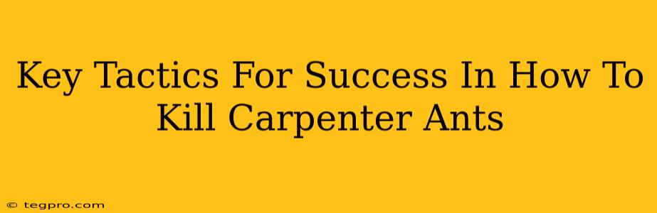 Key Tactics For Success In How To Kill Carpenter Ants