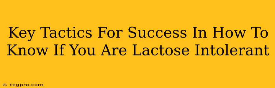 Key Tactics For Success In How To Know If You Are Lactose Intolerant