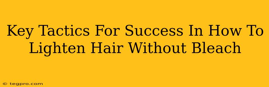 Key Tactics For Success In How To Lighten Hair Without Bleach