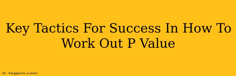 Key Tactics For Success In How To Work Out P Value