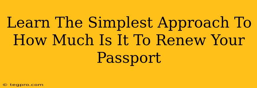 Learn The Simplest Approach To How Much Is It To Renew Your Passport