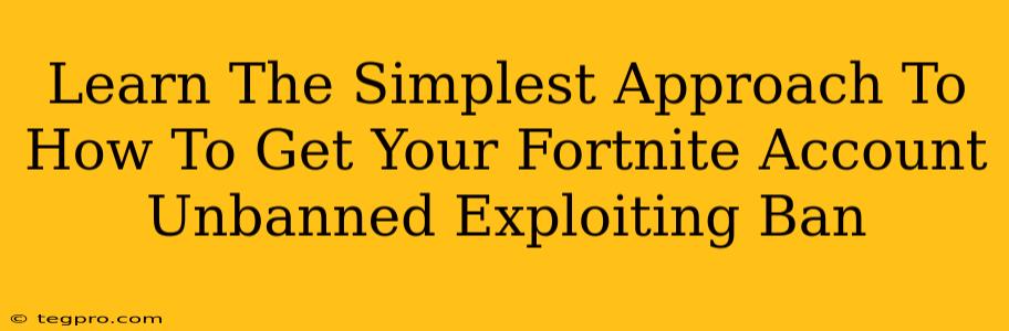 Learn The Simplest Approach To How To Get Your Fortnite Account Unbanned Exploiting Ban