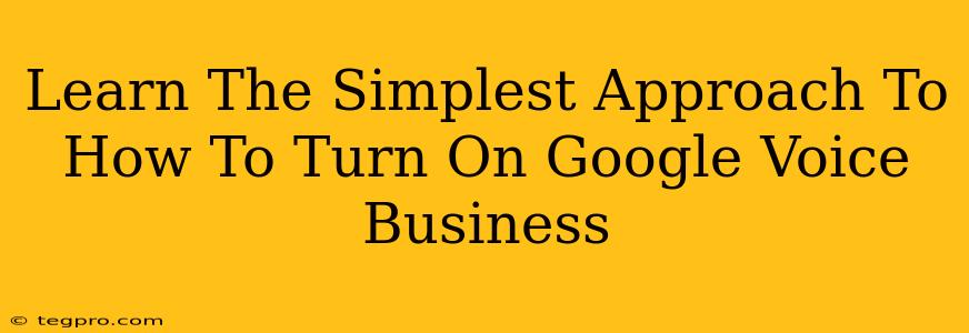 Learn The Simplest Approach To How To Turn On Google Voice Business