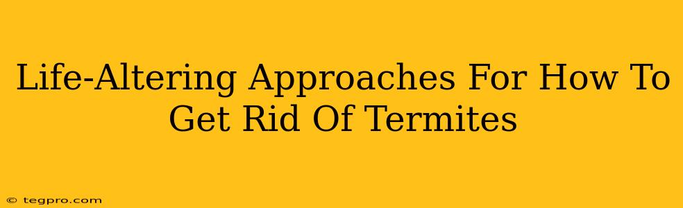 Life-Altering Approaches For How To Get Rid Of Termites