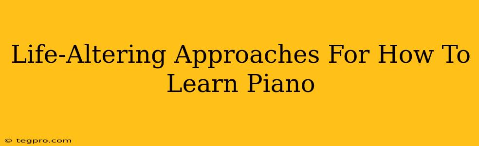 Life-Altering Approaches For How To Learn Piano