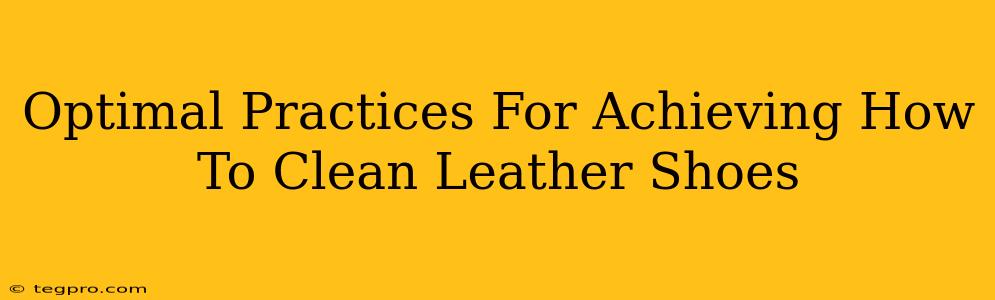 Optimal Practices For Achieving How To Clean Leather Shoes