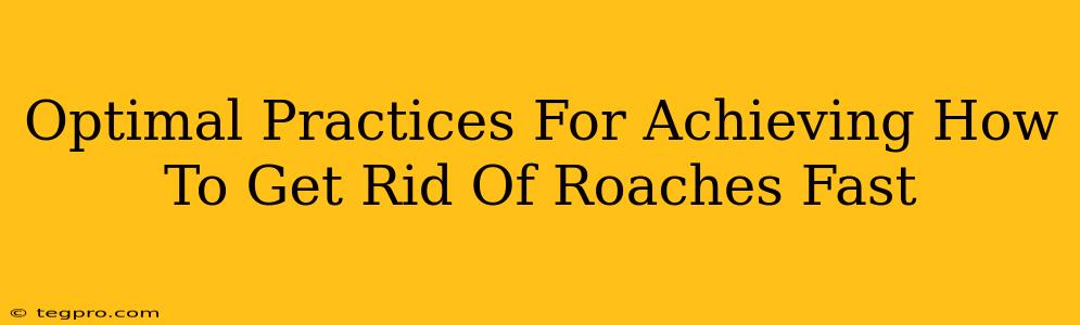 Optimal Practices For Achieving How To Get Rid Of Roaches Fast