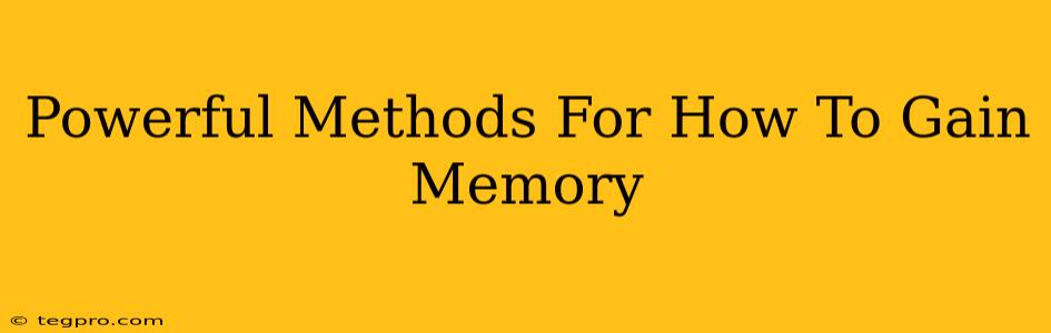 Powerful Methods For How To Gain Memory