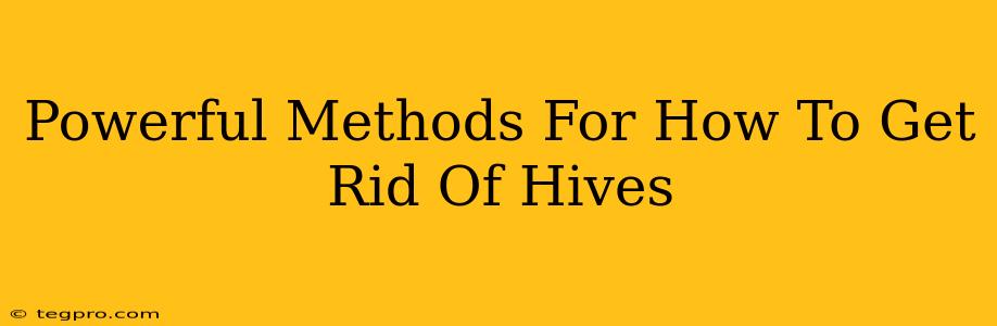 Powerful Methods For How To Get Rid Of Hives