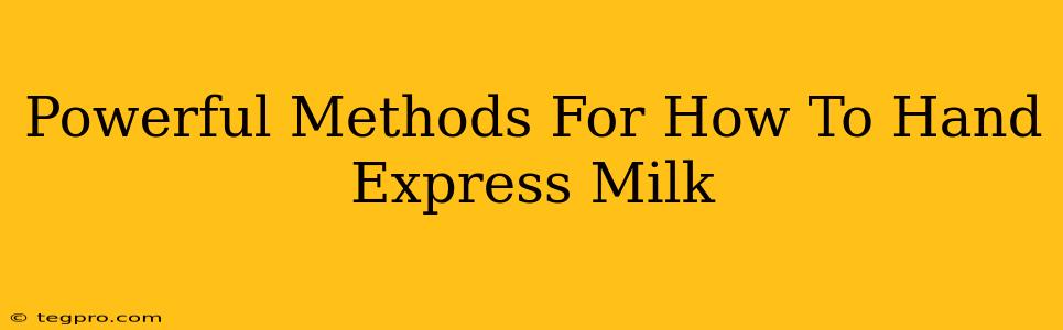 Powerful Methods For How To Hand Express Milk