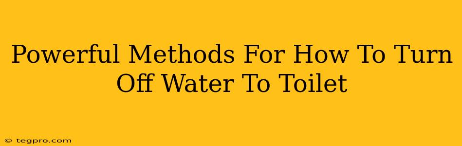 Powerful Methods For How To Turn Off Water To Toilet