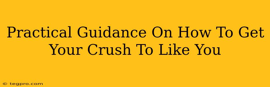 Practical Guidance On How To Get Your Crush To Like You