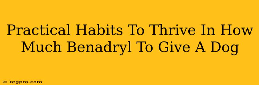 Practical Habits To Thrive In How Much Benadryl To Give A Dog