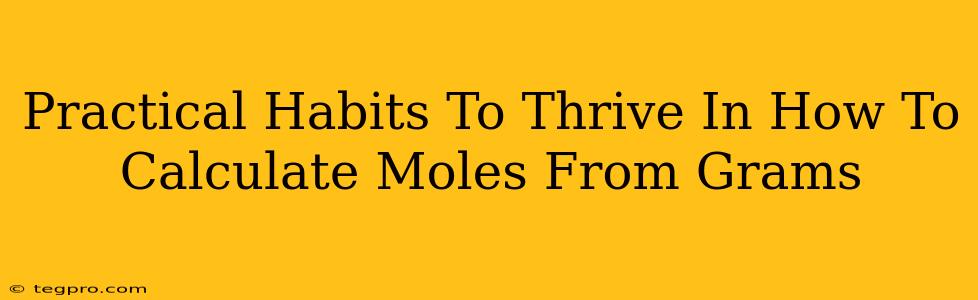 Practical Habits To Thrive In How To Calculate Moles From Grams