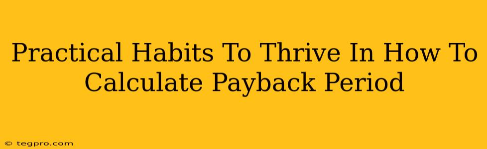 Practical Habits To Thrive In How To Calculate Payback Period