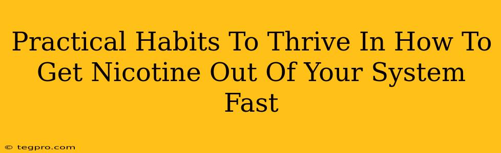 Practical Habits To Thrive In How To Get Nicotine Out Of Your System Fast