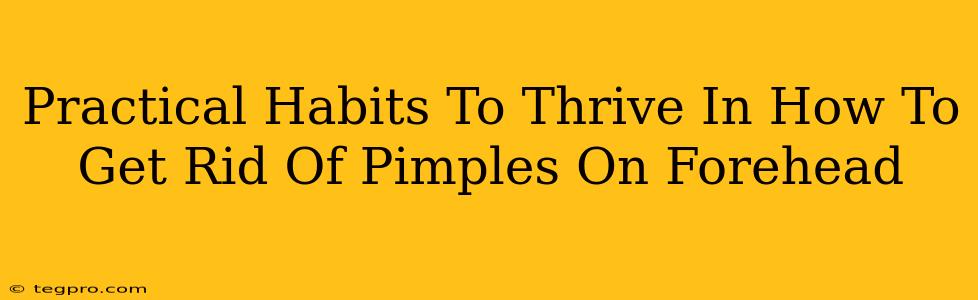 Practical Habits To Thrive In How To Get Rid Of Pimples On Forehead