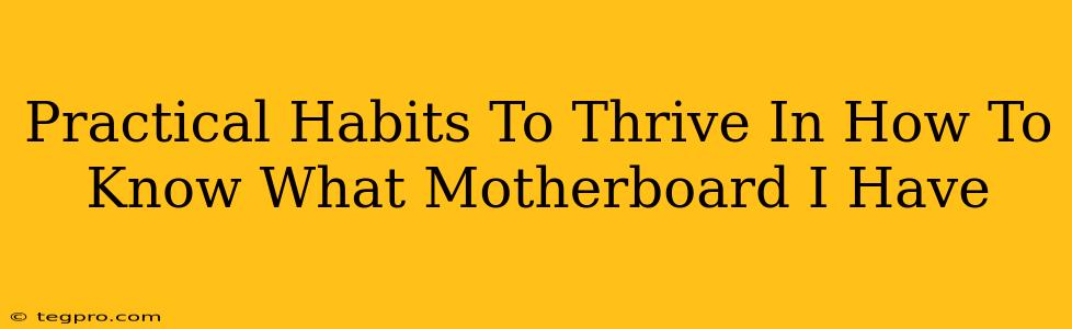 Practical Habits To Thrive In How To Know What Motherboard I Have