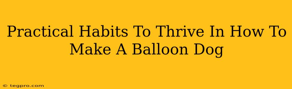 Practical Habits To Thrive In How To Make A Balloon Dog