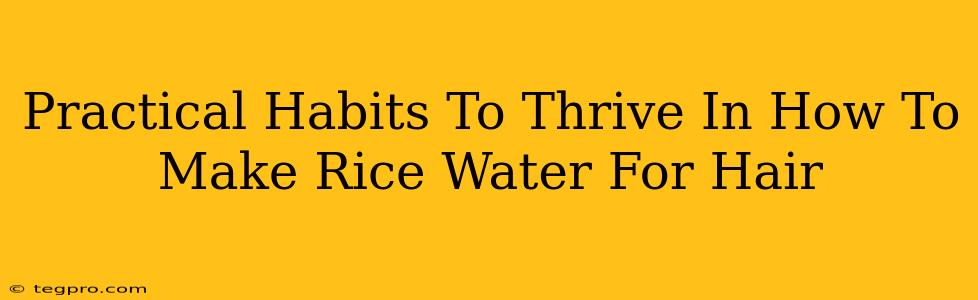 Practical Habits To Thrive In How To Make Rice Water For Hair