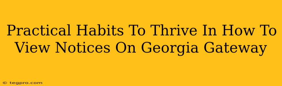 Practical Habits To Thrive In How To View Notices On Georgia Gateway