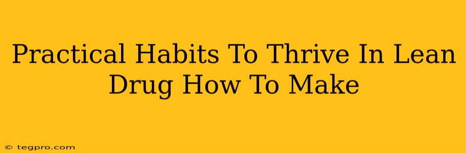 Practical Habits To Thrive In Lean Drug How To Make