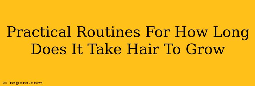 Practical Routines For How Long Does It Take Hair To Grow