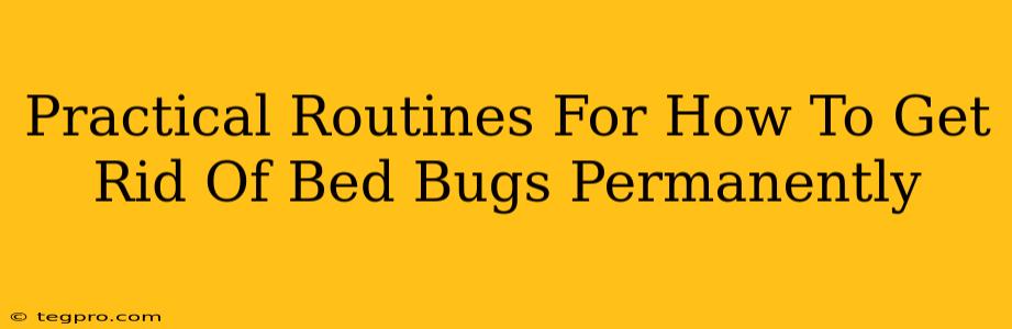 Practical Routines For How To Get Rid Of Bed Bugs Permanently