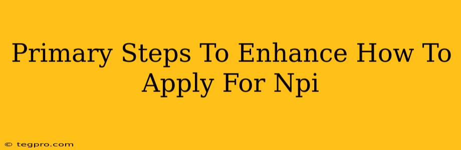 Primary Steps To Enhance How To Apply For Npi
