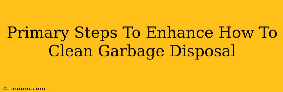 Primary Steps To Enhance How To Clean Garbage Disposal