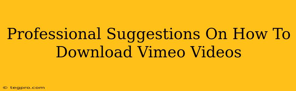 Professional Suggestions On How To Download Vimeo Videos