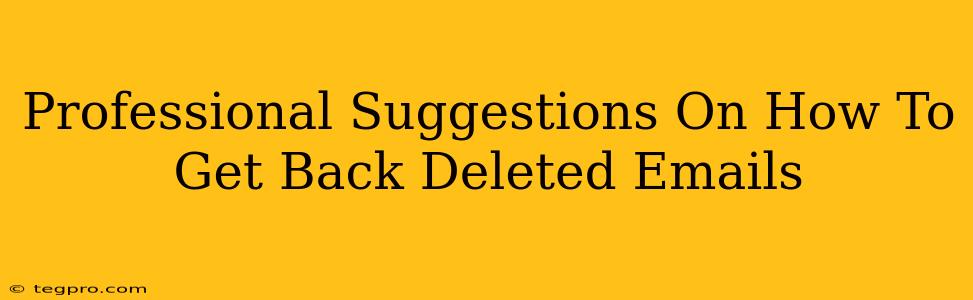 Professional Suggestions On How To Get Back Deleted Emails