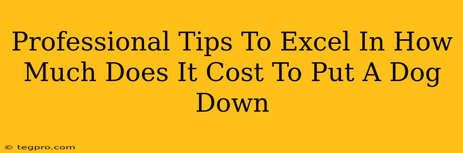 Professional Tips To Excel In How Much Does It Cost To Put A Dog Down