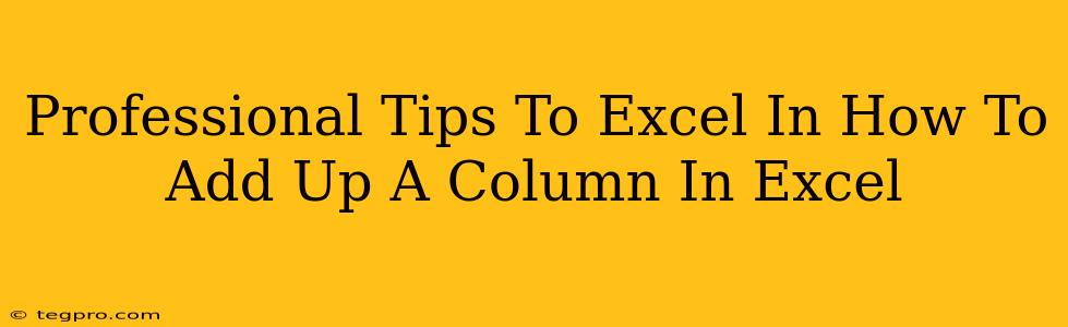 Professional Tips To Excel In How To Add Up A Column In Excel