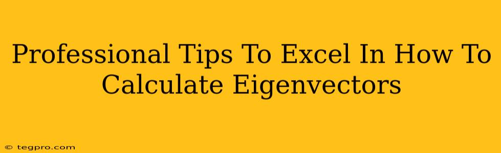 Professional Tips To Excel In How To Calculate Eigenvectors