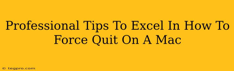 Professional Tips To Excel In How To Force Quit On A Mac