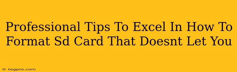 Professional Tips To Excel In How To Format Sd Card That Doesnt Let You