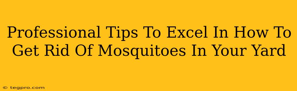 Professional Tips To Excel In How To Get Rid Of Mosquitoes In Your Yard