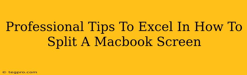 Professional Tips To Excel In How To Split A Macbook Screen