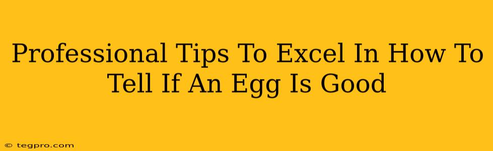 Professional Tips To Excel In How To Tell If An Egg Is Good