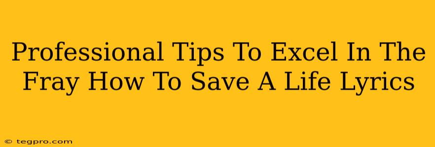 Professional Tips To Excel In The Fray How To Save A Life Lyrics