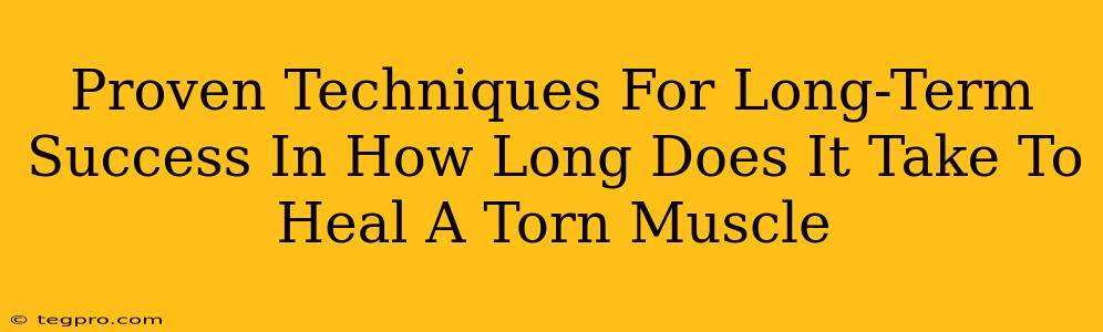 Proven Techniques For Long-Term Success In How Long Does It Take To Heal A Torn Muscle