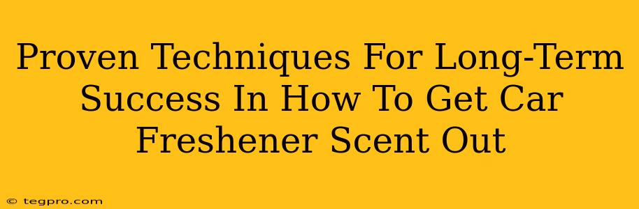 Proven Techniques For Long-Term Success In How To Get Car Freshener Scent Out