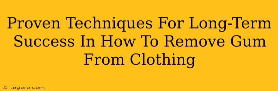 Proven Techniques For Long-Term Success In How To Remove Gum From Clothing