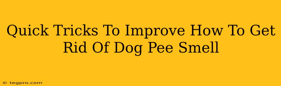 Quick Tricks To Improve How To Get Rid Of Dog Pee Smell