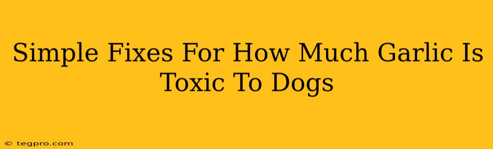 Simple Fixes For How Much Garlic Is Toxic To Dogs