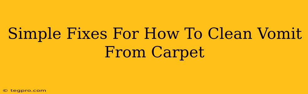 Simple Fixes For How To Clean Vomit From Carpet