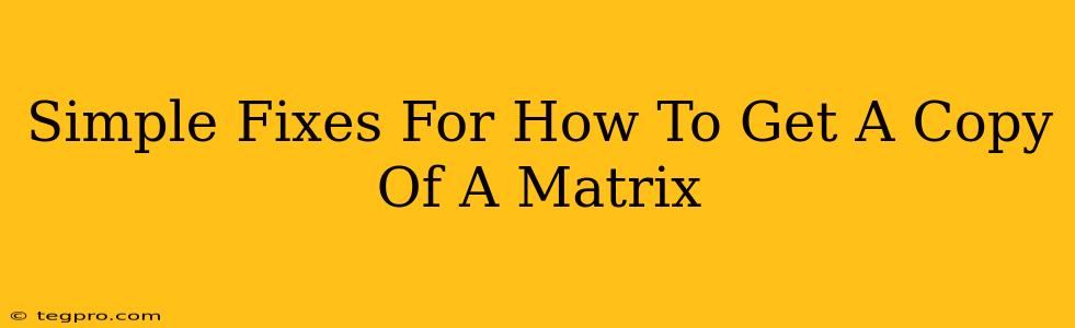 Simple Fixes For How To Get A Copy Of A Matrix