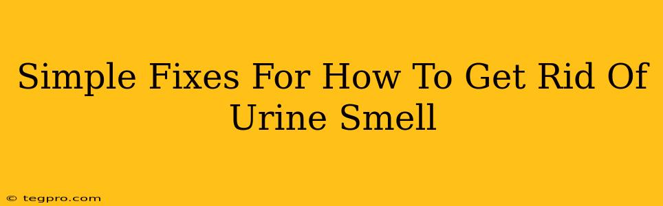 Simple Fixes For How To Get Rid Of Urine Smell